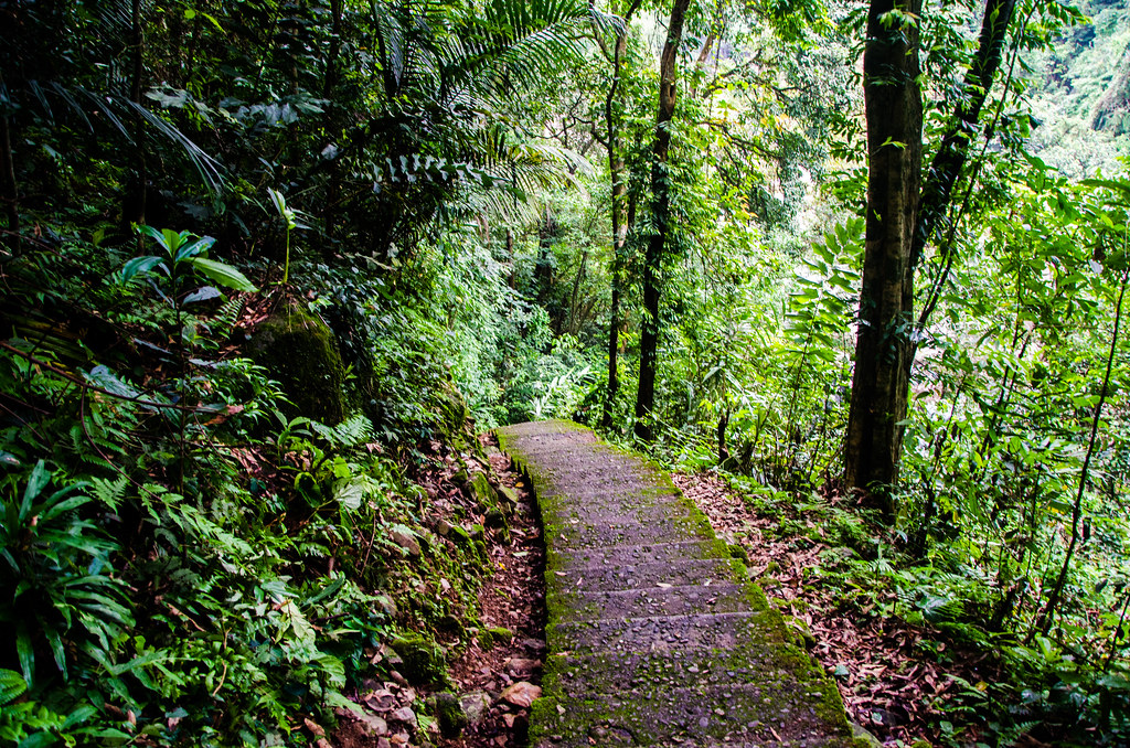 Cherrapunji